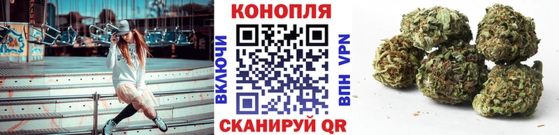 Канабис семена  omg   Стерлитамак 